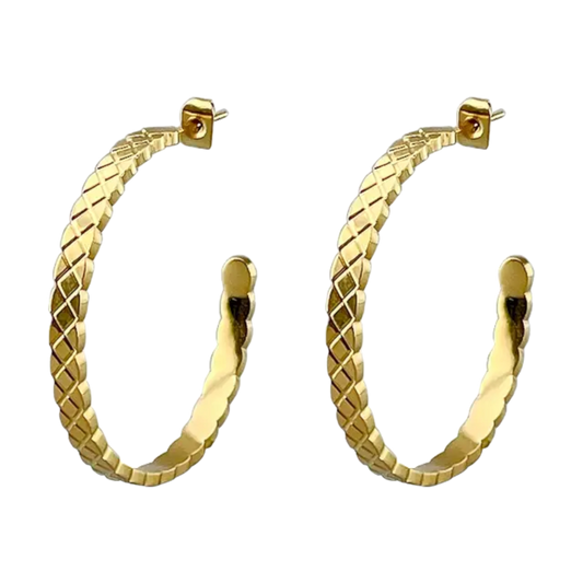 Elise Earring Hoops - Bourga Collections