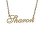 S Name Necklaces